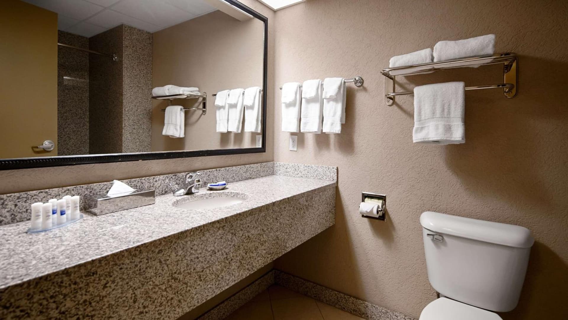 Best Western Plus Sandusky Hotel & Suites gallery photo in Sandusky, OH — image 30