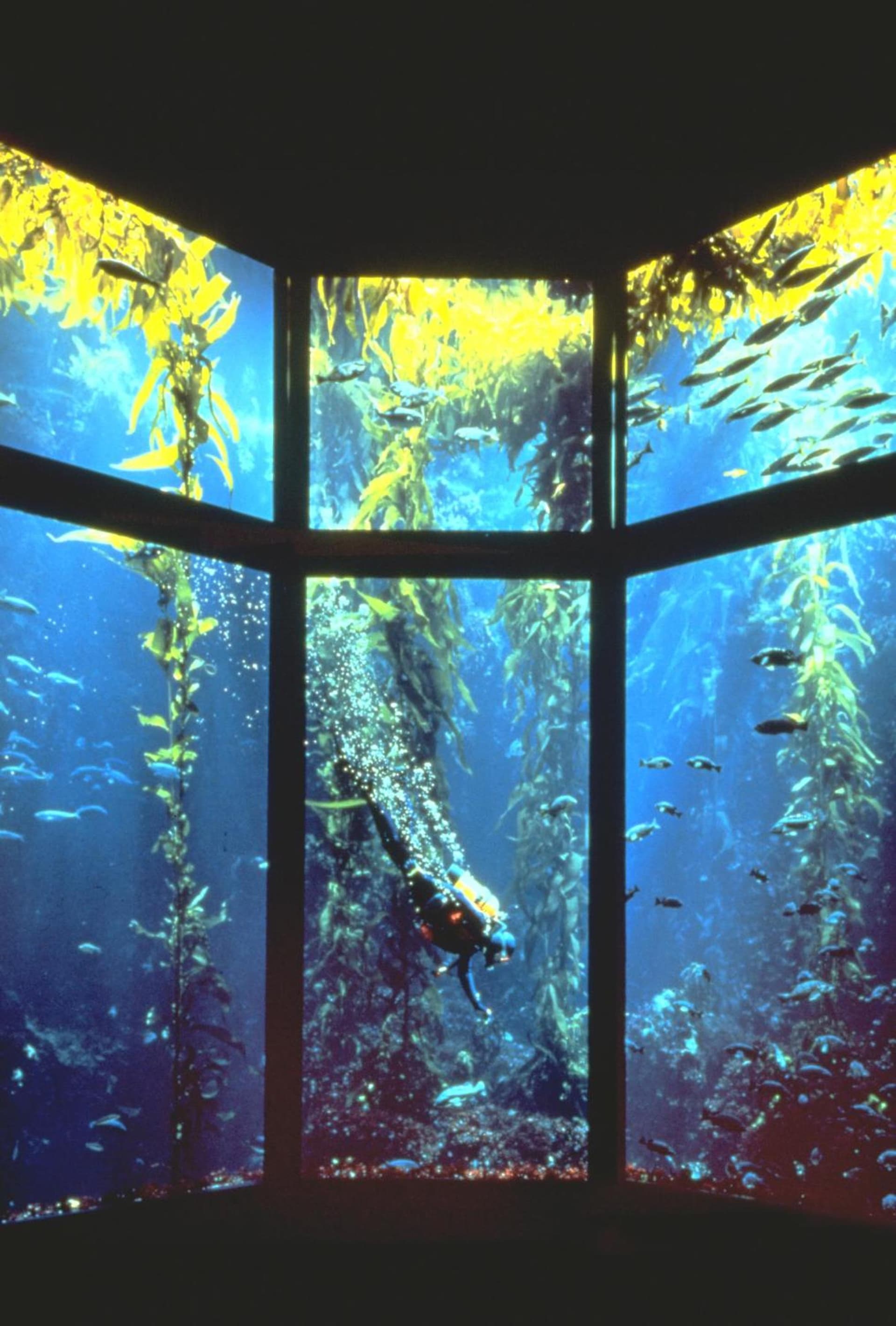 Monterey Bay Inn gallery photo in Monterey, CA — image 26