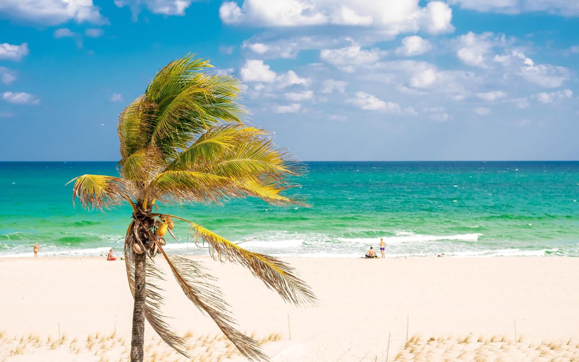 Plunge Beach Resort gallery photo in Fort Lauderdale, FL — image 36