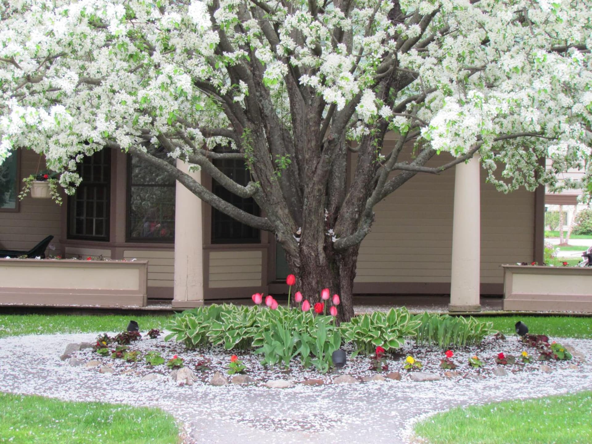 The Wentworth gallery photo in Jackson — image 63