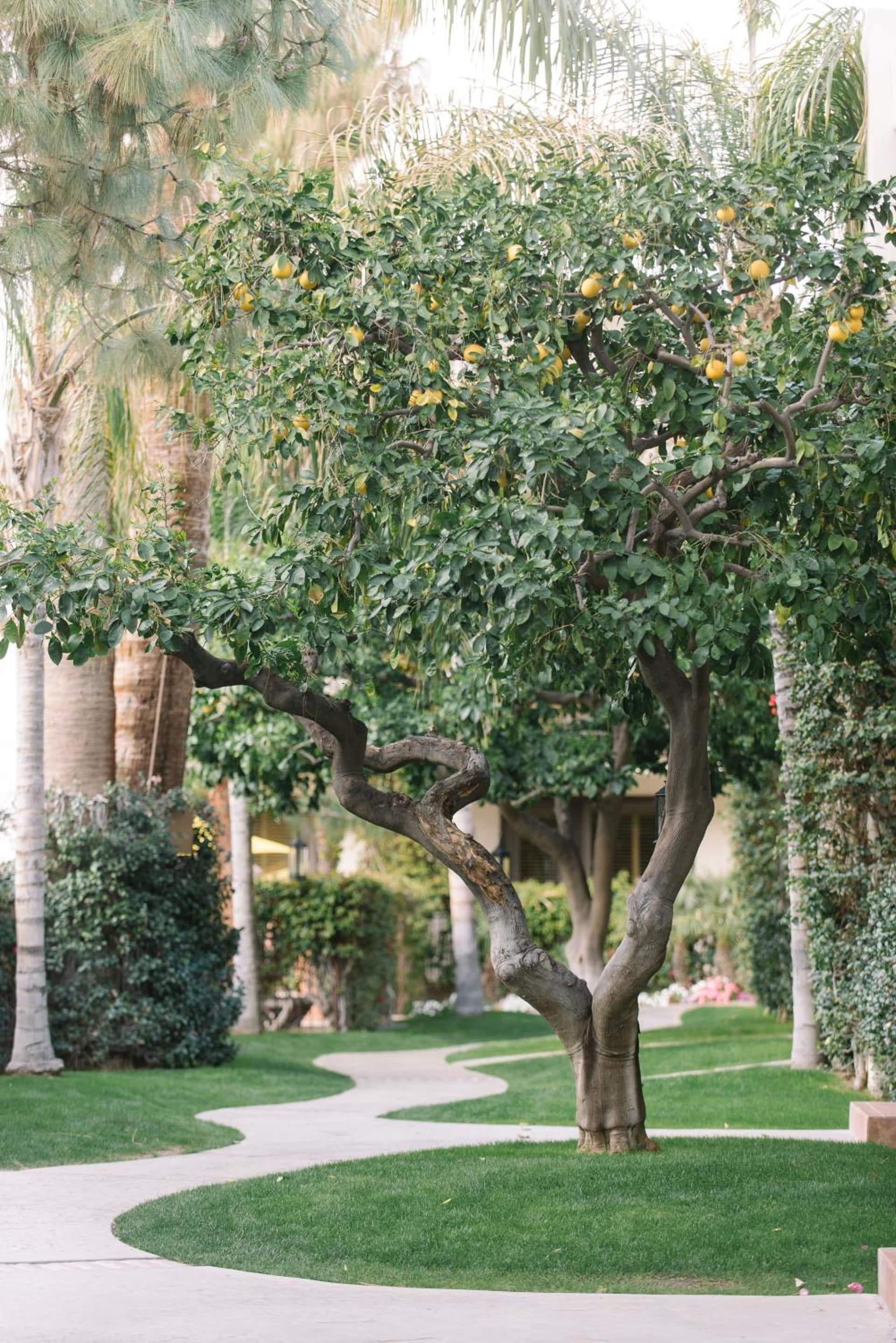 Palm Mountain Resort & Spa property views in Palm Springs, CA — gallery photo 3