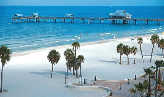 Camelot Beach Suites gallery photo in Clearwater Beach, FL — image 17
