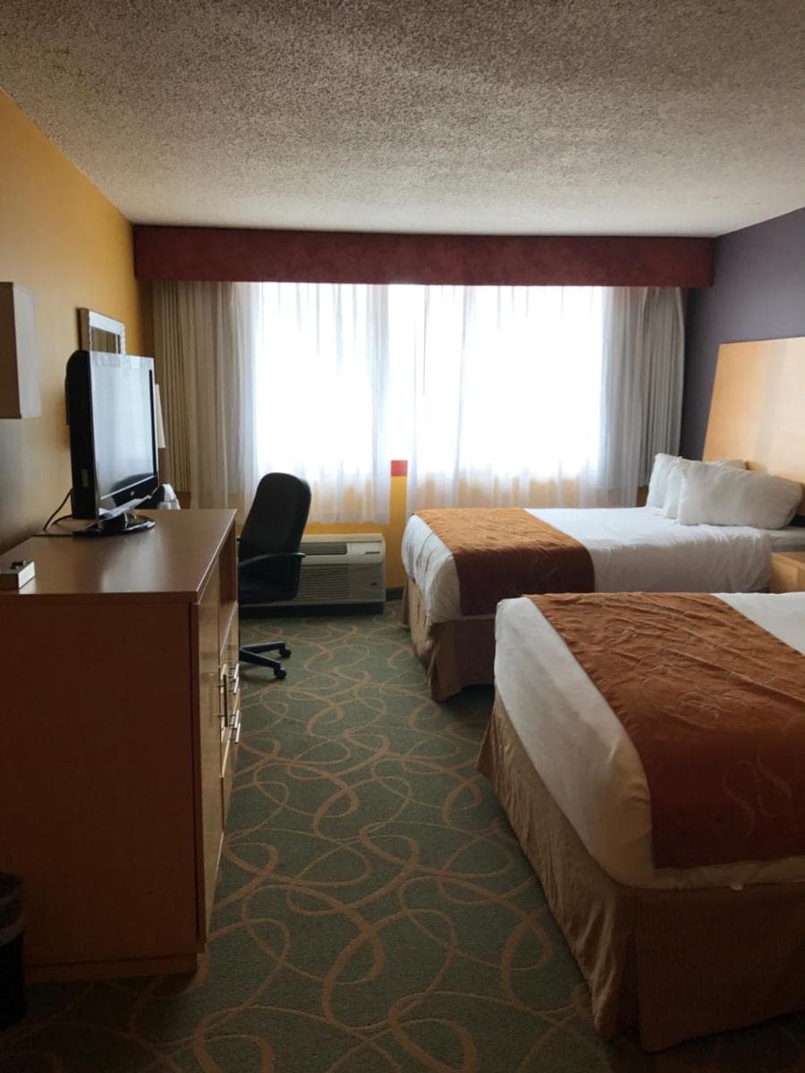 Trip Hotel Ithaca interior in Ithaca, NY — gallery photo 2