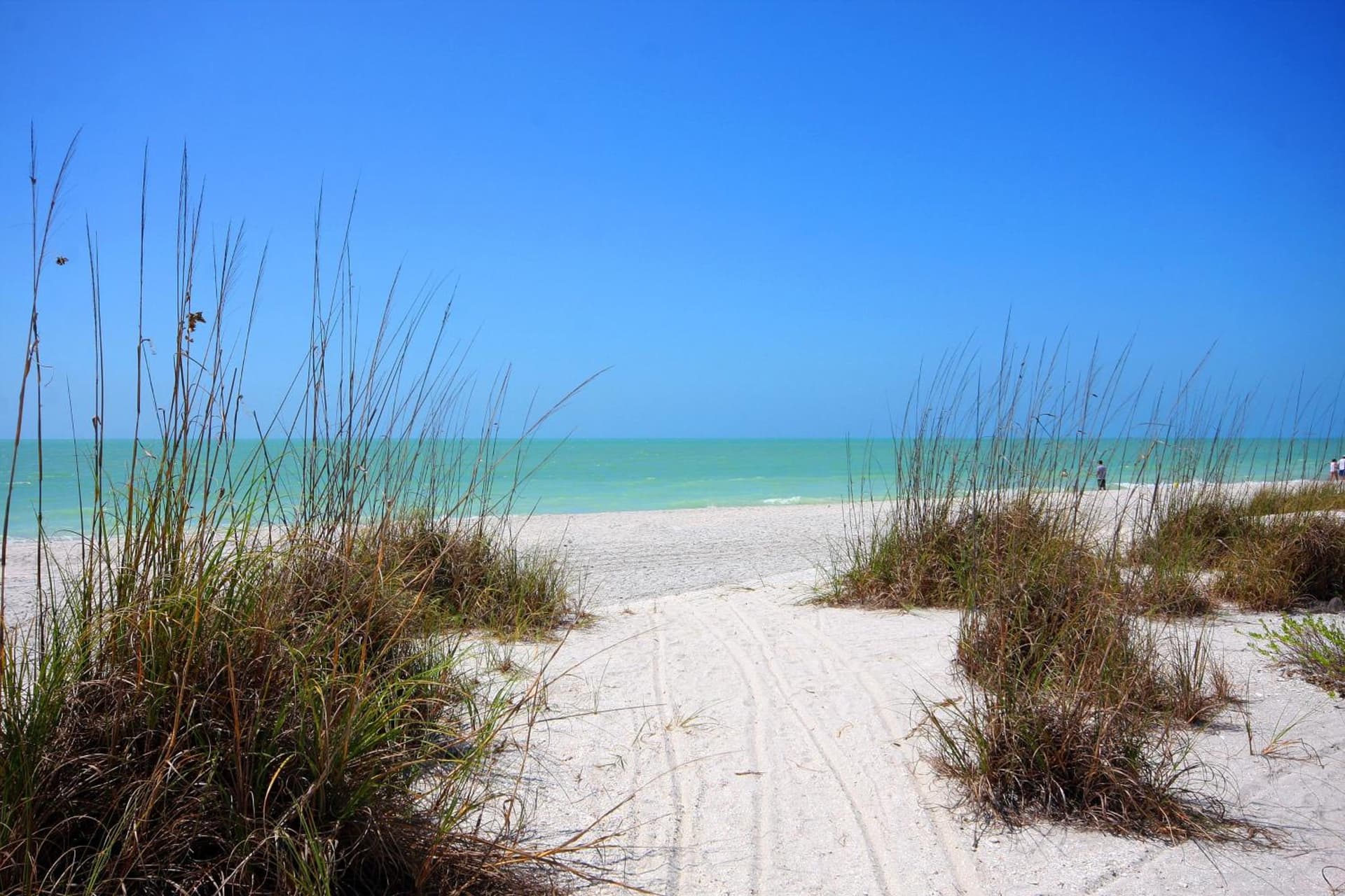 Island Inn gallery photo in Sanibel, FL — image 11