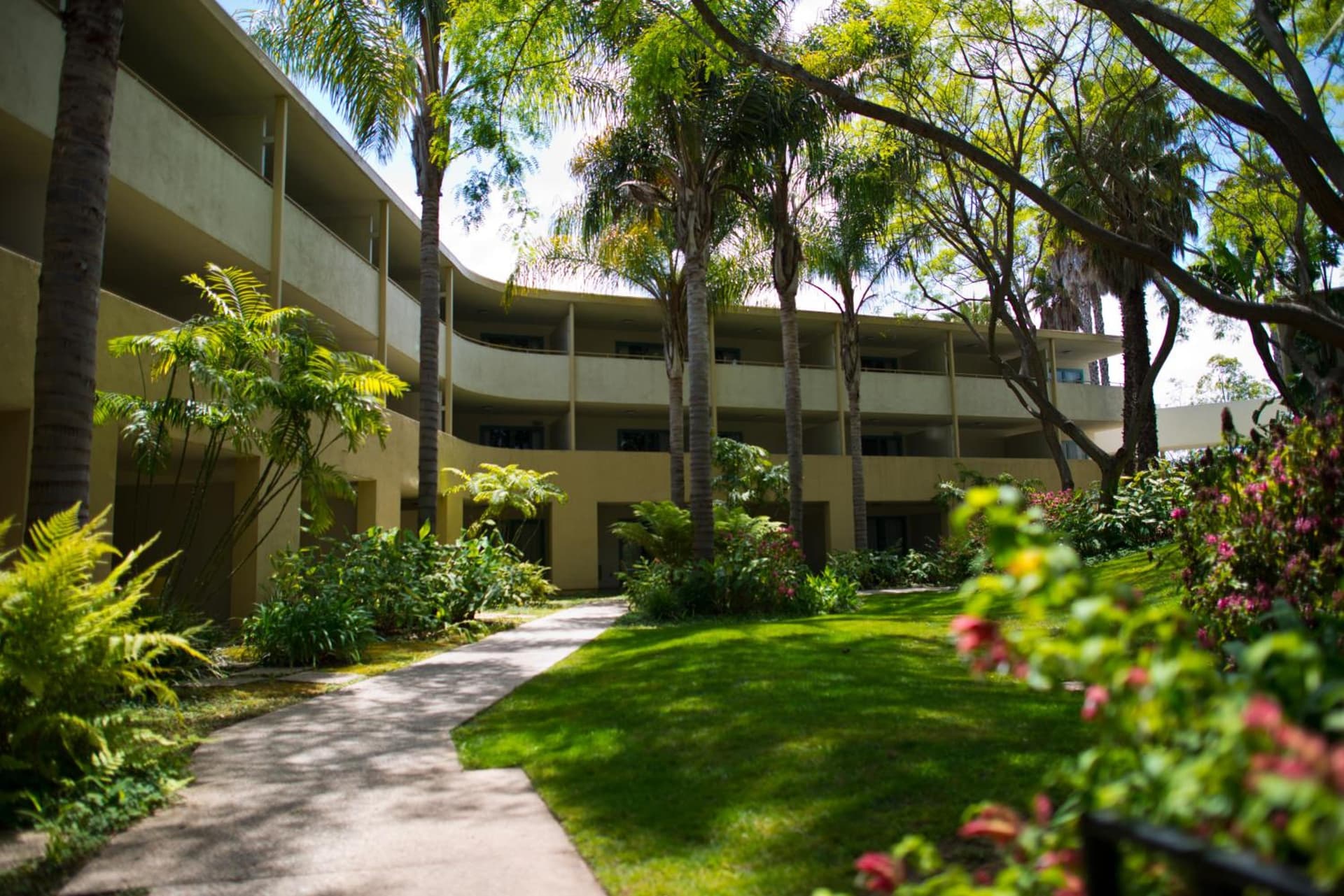 Lemon Tree Inn gallery photo in Santa Barbara, CA — image 59