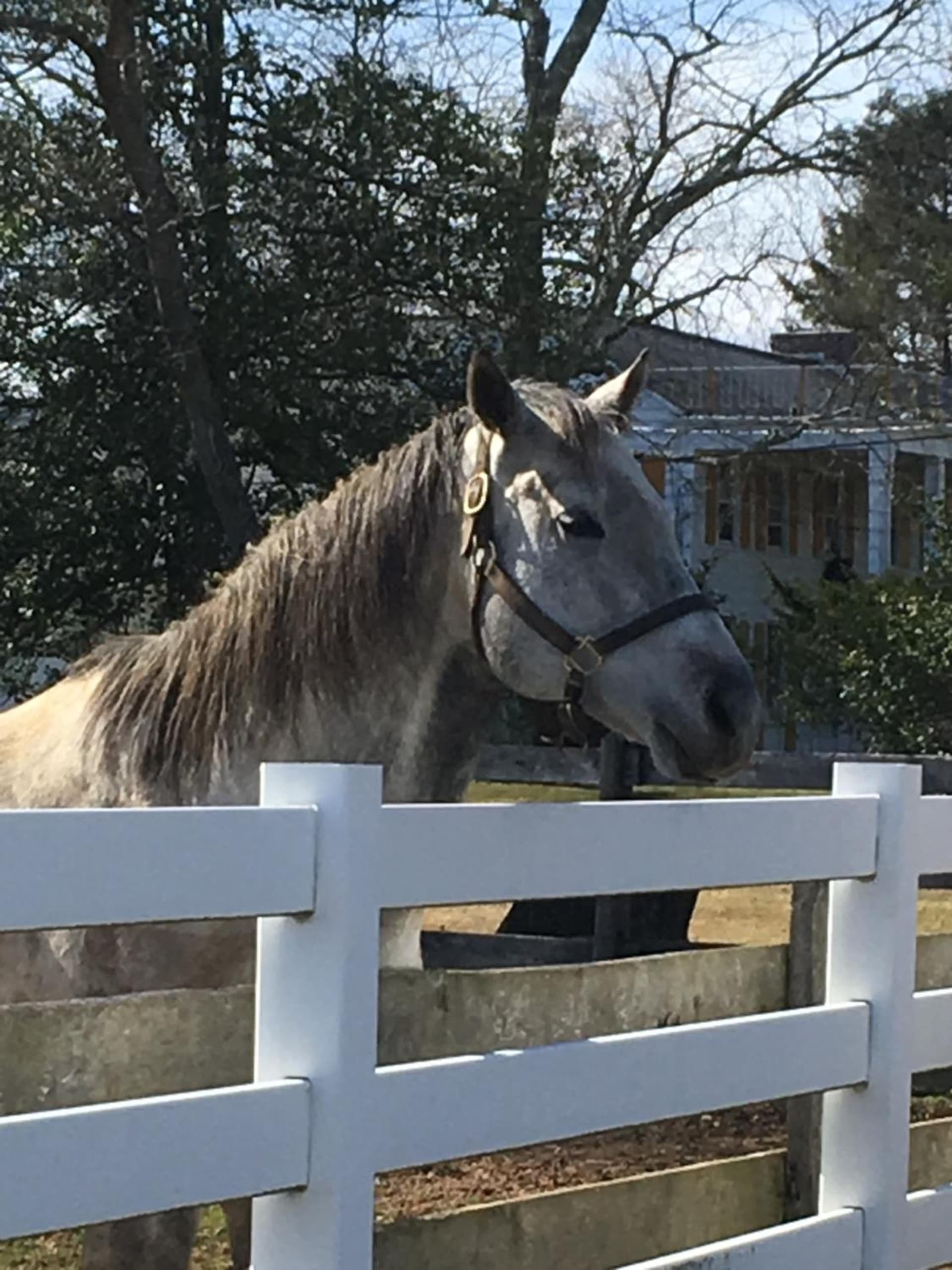 Colts Neck Inn Hotel gallery photo in Colts Neck — image 75