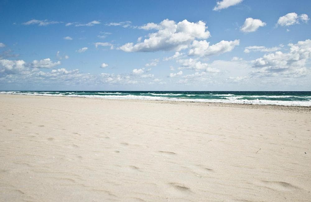 Ocean Lodge gallery photo in Boca Raton, FL — image 14