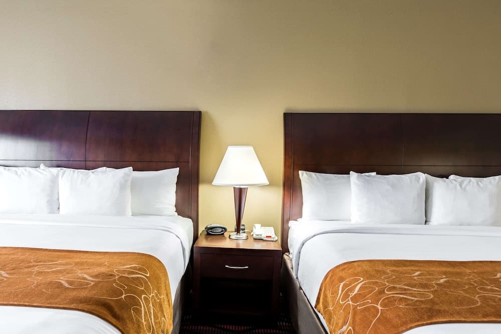 Comfort Suites Beaumont I-10 gallery photo in Beaumont, TX — image 11