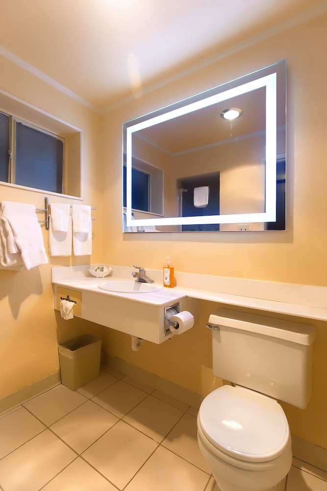 Atrium Inn gallery photo in High Point, NC — image 9