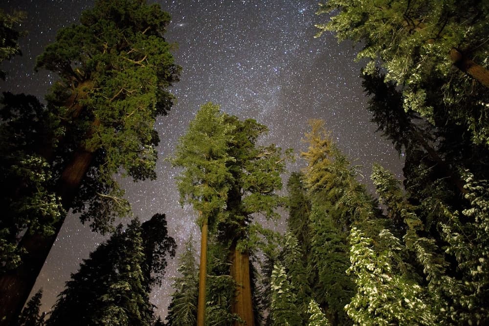 Wuksachi Lodge gallery photo in Sequoia National Park, CA — image 20