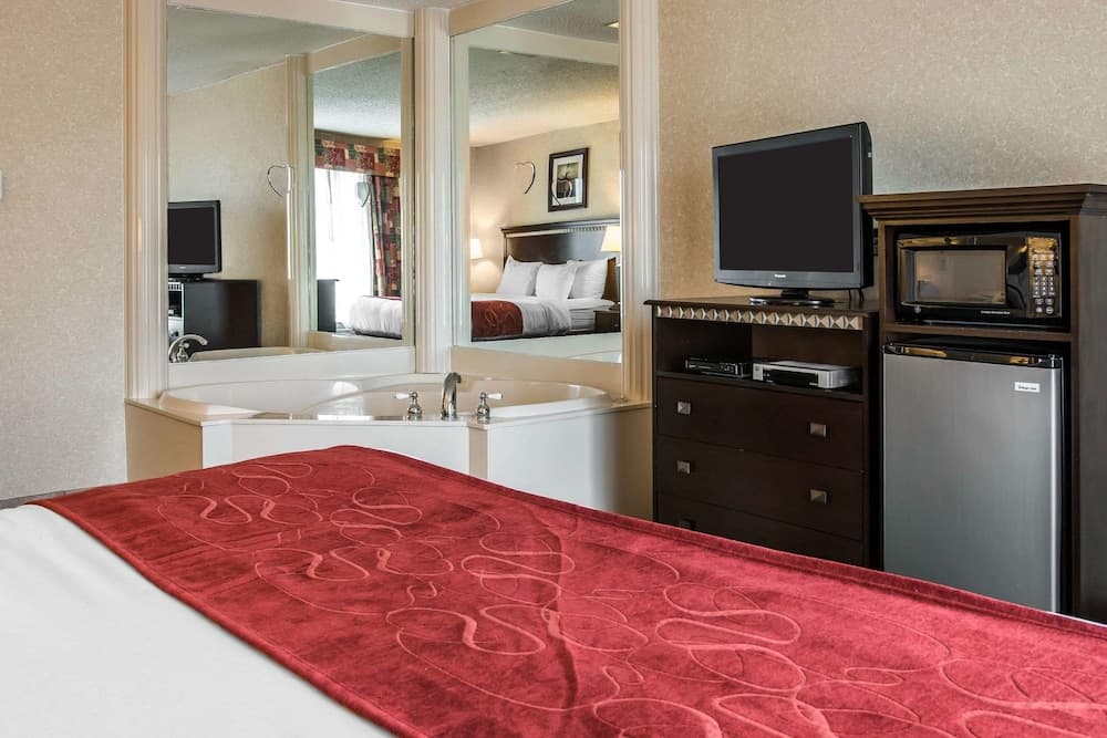 Comfort Suites Canton - Detroit gallery photo in Canton — image 17