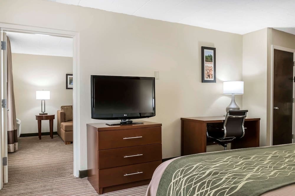 Comfort Inn - Pocono Mountains gallery photo in White Haven, PA — image 23