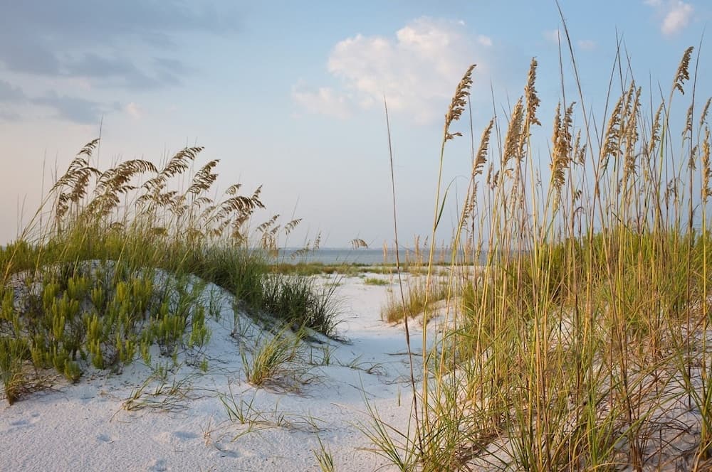 Holiday Inn Express & Suites Naples North - Bonita Springs by IHG gallery photo in Bonita Springs, FL — image 18