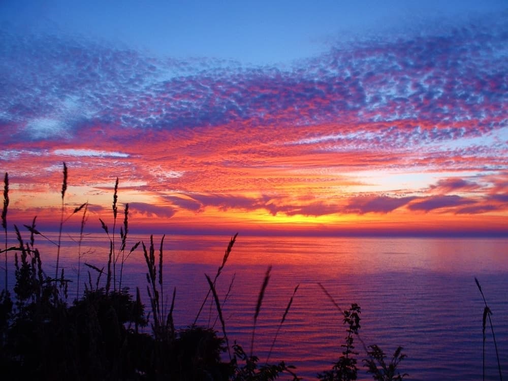 Lake Shore Resort gallery photo in Saugatuck, MI — image 6