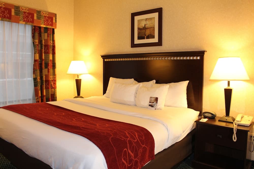 Comfort Suites Canton - Detroit property views in Canton — gallery photo 3