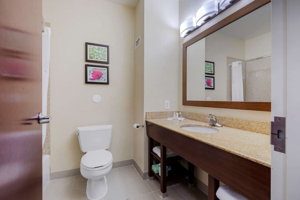 Comfort Suites Copperas Cove gallery photo in Copperas Cove, TX — image 5