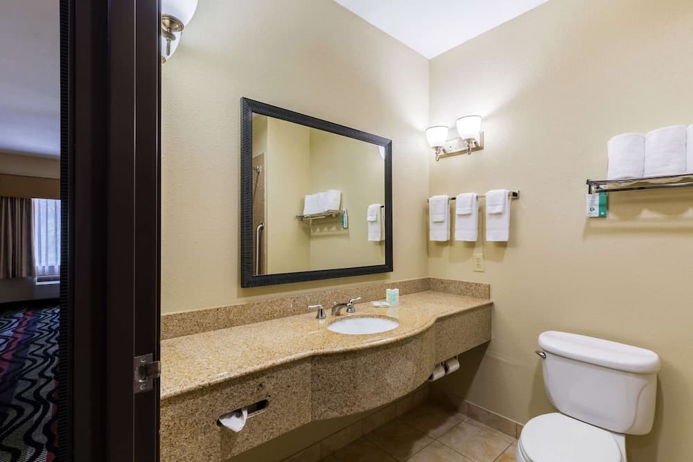Comfort Suites Beaumont I-10 property views in Beaumont, TX — gallery photo 3