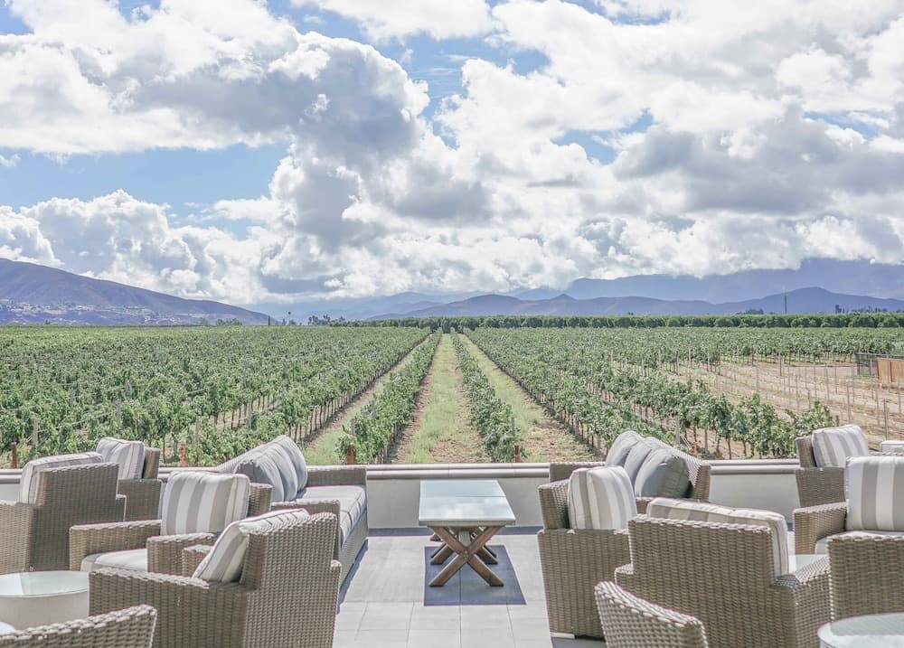 Ponte Vineyard Inn gallery photo in Temecula, CA — image 28