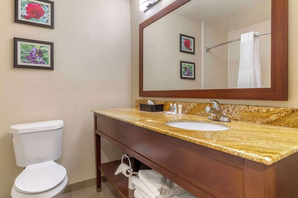 Comfort Inn & Suites Temple - Medical Center gallery photo in Temple, TX — image 14