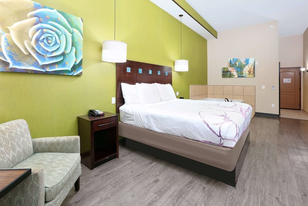 La Quinta Inn & Suites by Wyndham Dallas Grand Prairie South gallery photo in Grand Prairie, TX — image 55