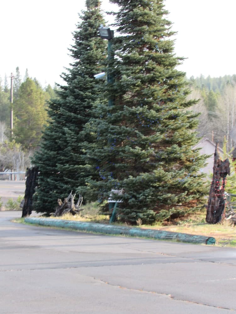 The Woodsman Country Lodge interior in Crescent, OR — gallery photo 2