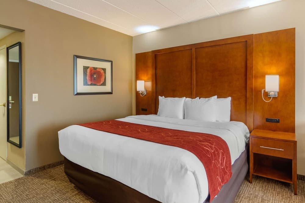 Comfort Suites South Park property views in Colonial Heights, VA — gallery photo 3