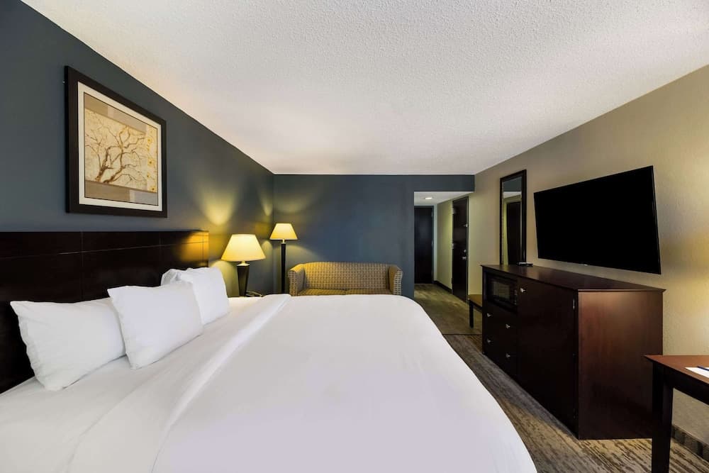 Clarion Hotel San Angelo near Convention Center gallery photo in San Angelo, TX — image 21