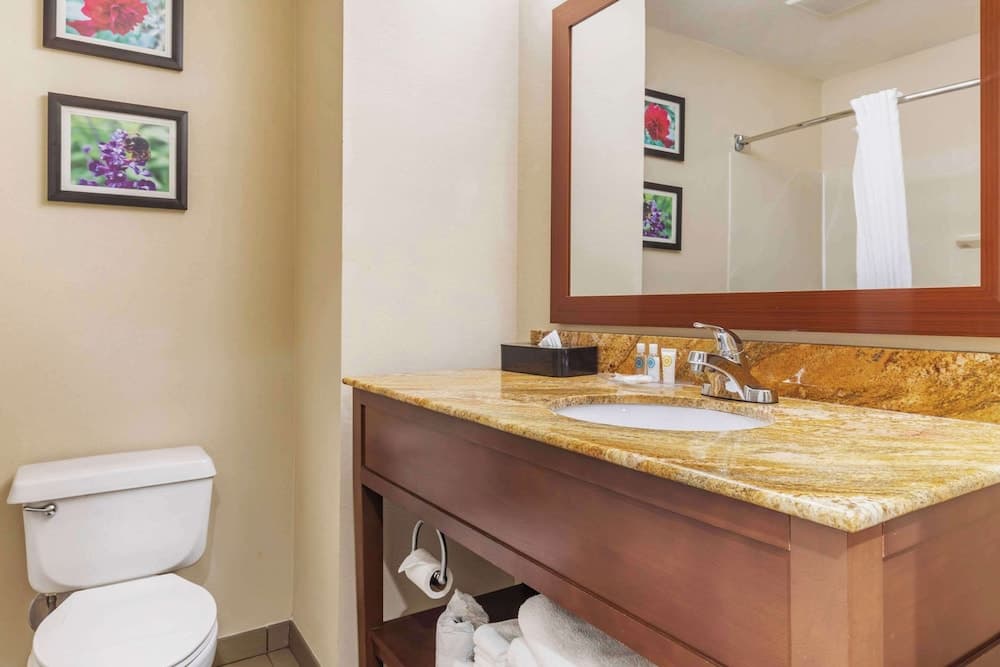 Comfort Inn & Suites Temple - Medical Center gallery photo in Temple, TX — image 40