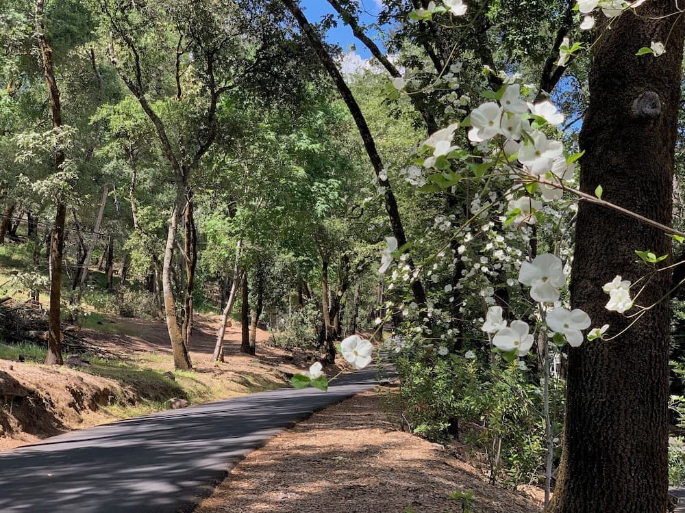 Meadowood Napa Valley gallery photo in St. Helena, CA — image 6