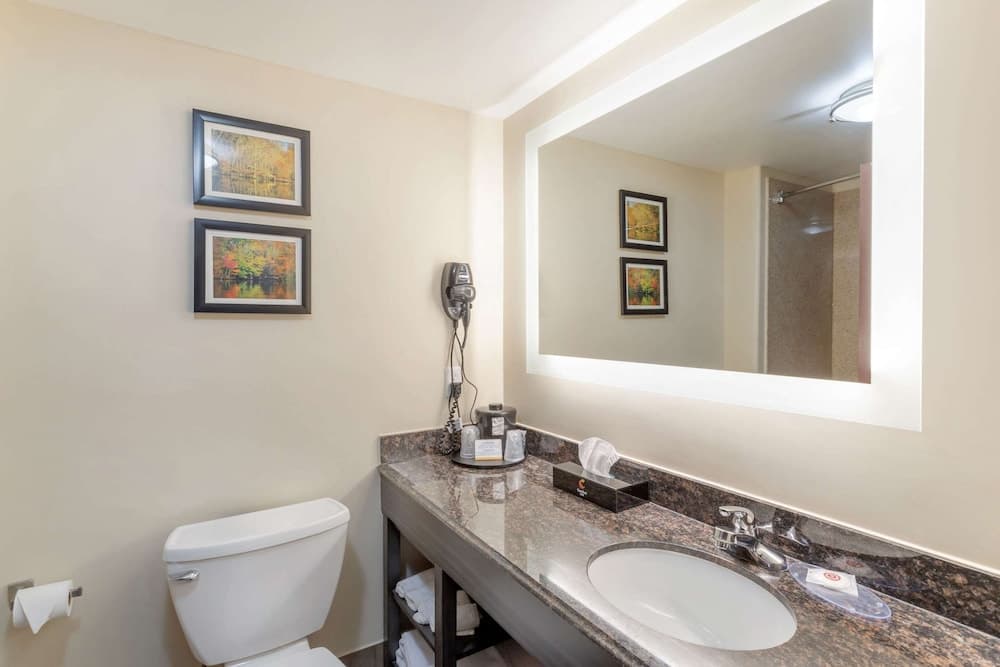 Comfort Inn Orange I-10 gallery photo in Orange, TX — image 22