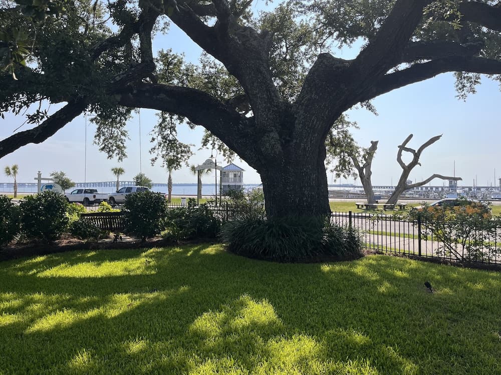 Bay Town Inn gallery photo in Bay St Louis, MS — image 21