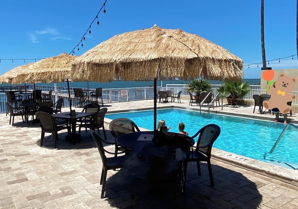 Waterfront Resort Condo Gulf Sun Set interior in Dunedin, FL — gallery photo 2