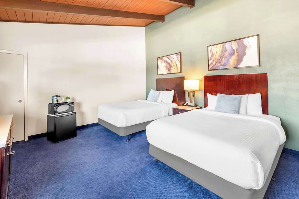 Quality Inn & Suites Jackson gallery photo in Jackson, CA — image 51