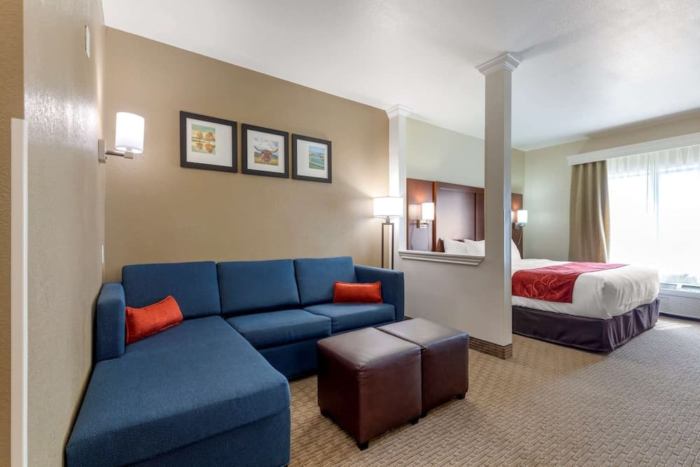 Comfort Suites Copperas Cove gallery photo in Copperas Cove, TX — image 41