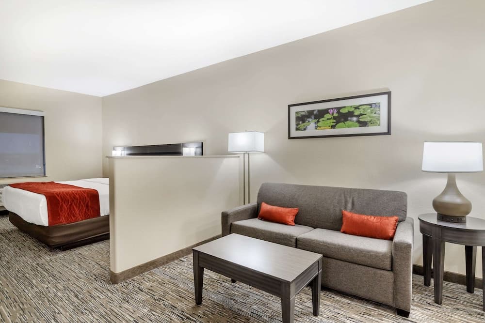 Comfort Inn Orange I-10 gallery photo in Orange, TX — image 17