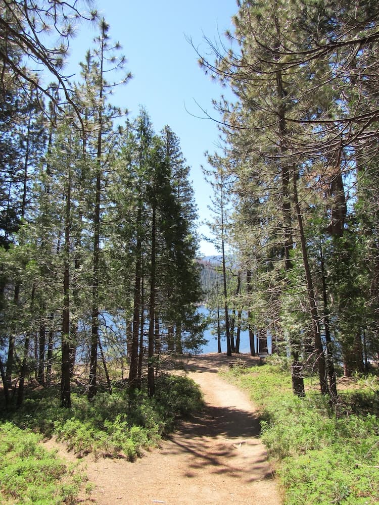 John Muir Lodge gallery photo in Hume, CA — image 43