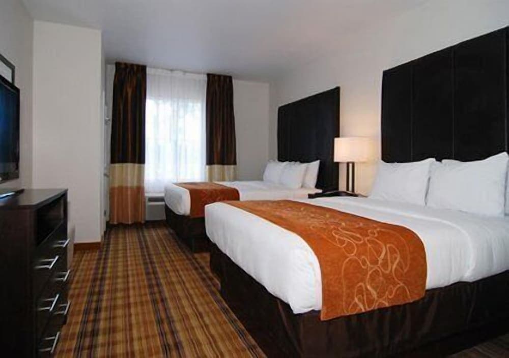 Comfort Suites Mandeville - Covington gallery photo in Mandeville, LA — image 19