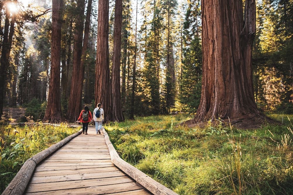 John Muir Lodge gallery photo in Hume, CA — image 9