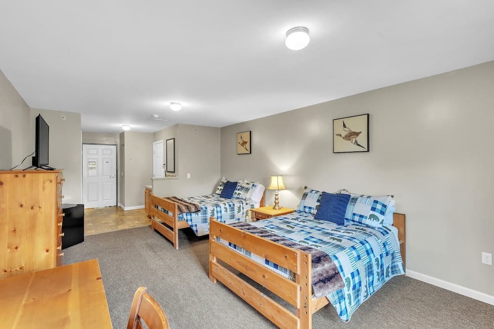 Green Goose Lodge - Studio Apt Sleeps 4 Condo property views in Waterford — gallery photo 3