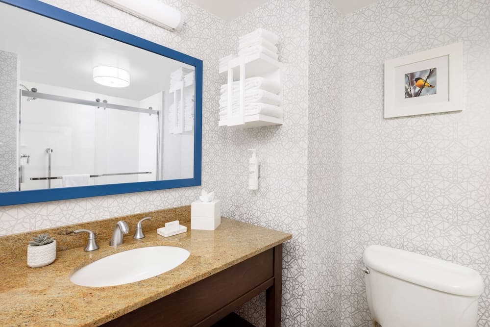 Hampton Inn Columbia gallery photo in Columbia, MD — image 5