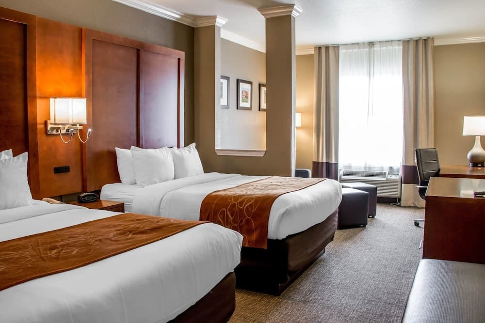 Comfort Suites New Braunfels - San Antonio Area — hotel in New Braunfels, Texas