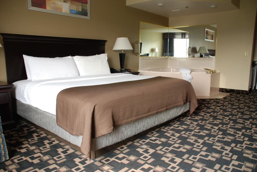The Plaza Hotel & Suites Winona gallery photo in Winona, MN — image 19