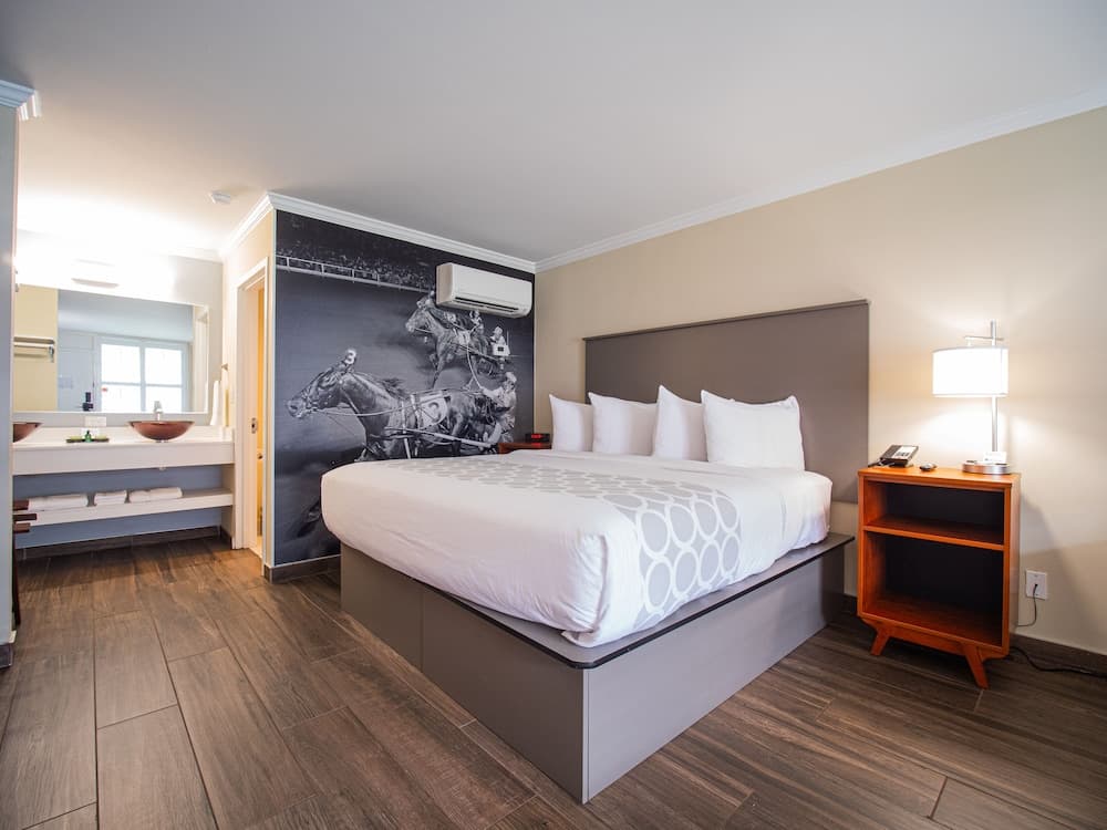 Equus Inn Ocala gallery photo in Ocala, FL — image 36