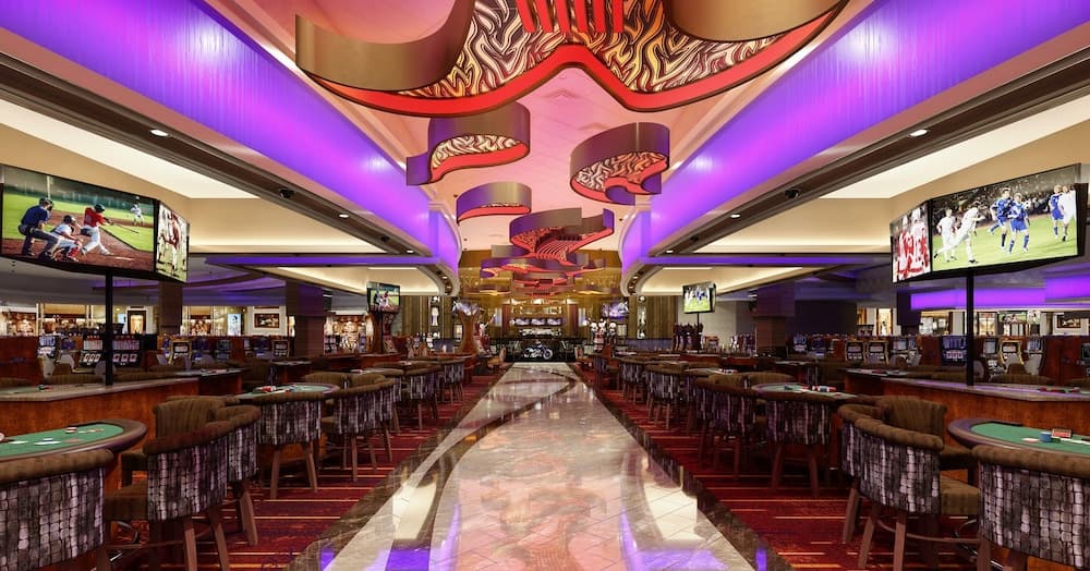Hard Rock Hotel & Casino Sacramento gallery photo in Wheatland, CA — image 32