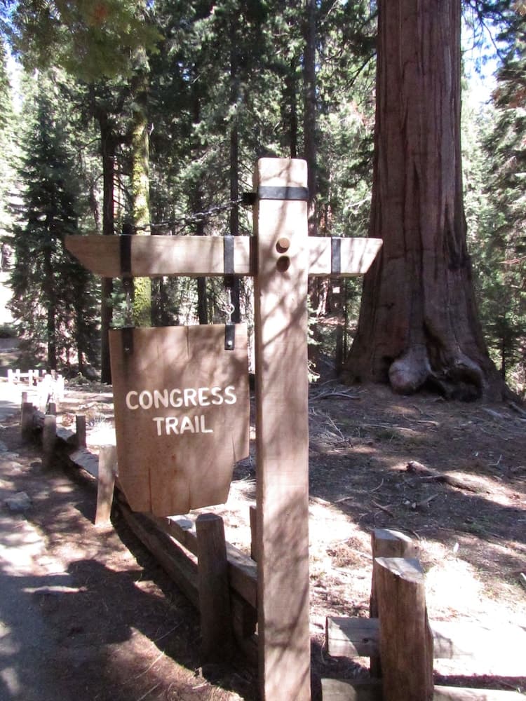 Wuksachi Lodge gallery photo in Sequoia National Park, CA — image 53