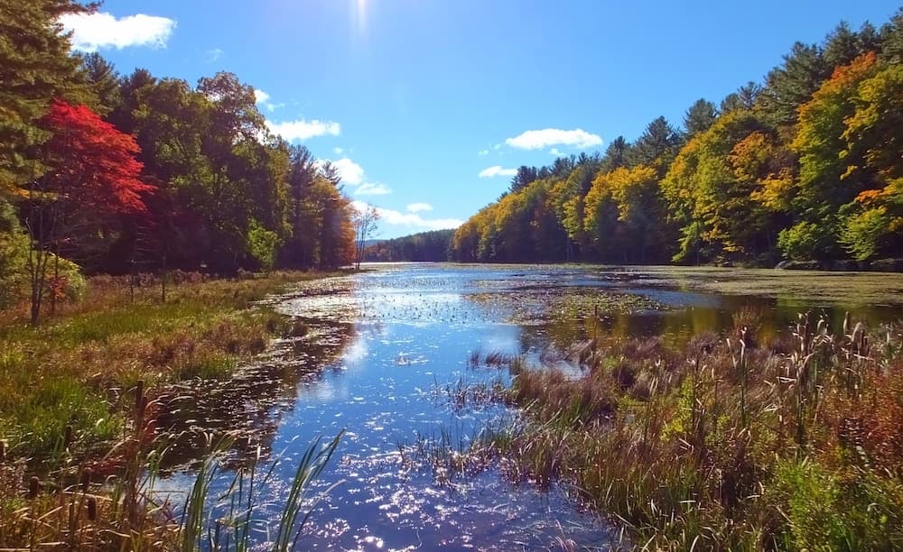 Crystal Brook Resort & Mountain Brauhaus gallery photo in Round Top, NY — image 4
