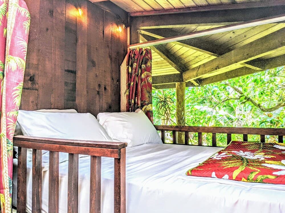 Kehena Mauka Nui LGBTQ Clothing Optional property views in Pahoa, HI — gallery photo 3