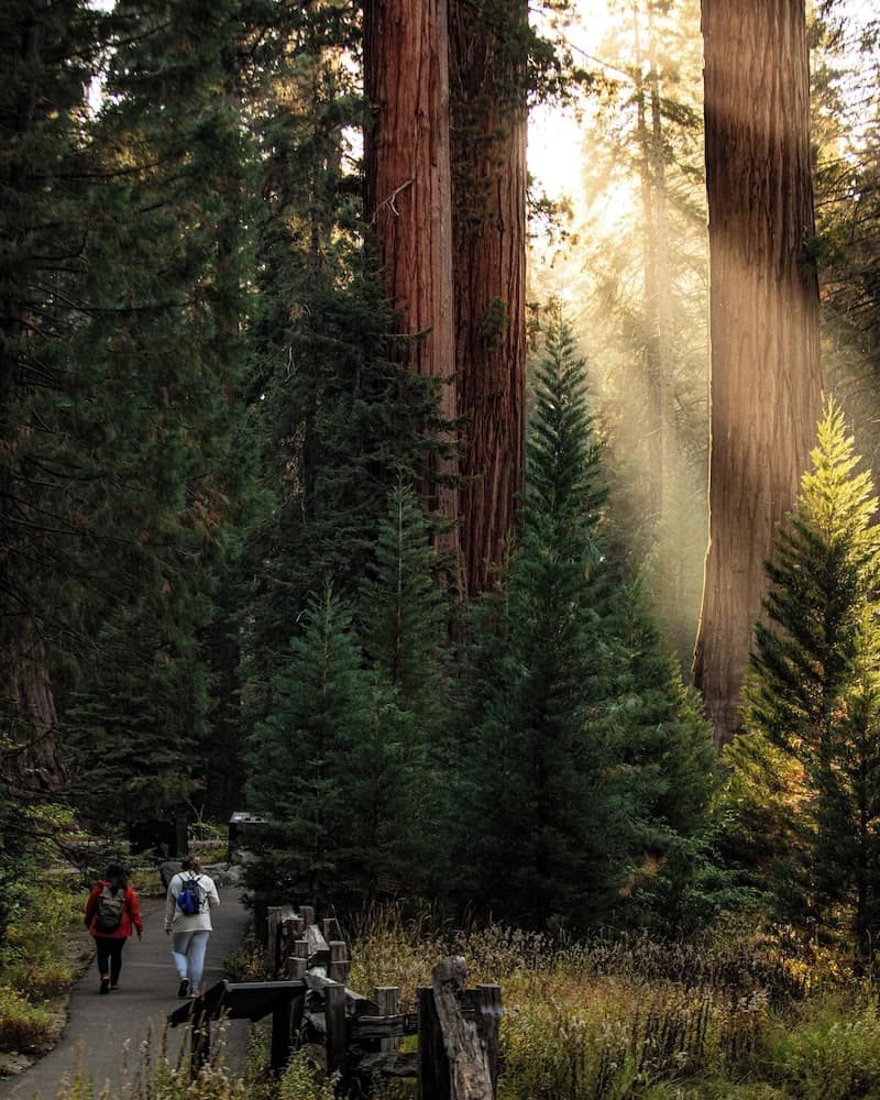 John Muir Lodge interior in Hume, CA — gallery photo 2