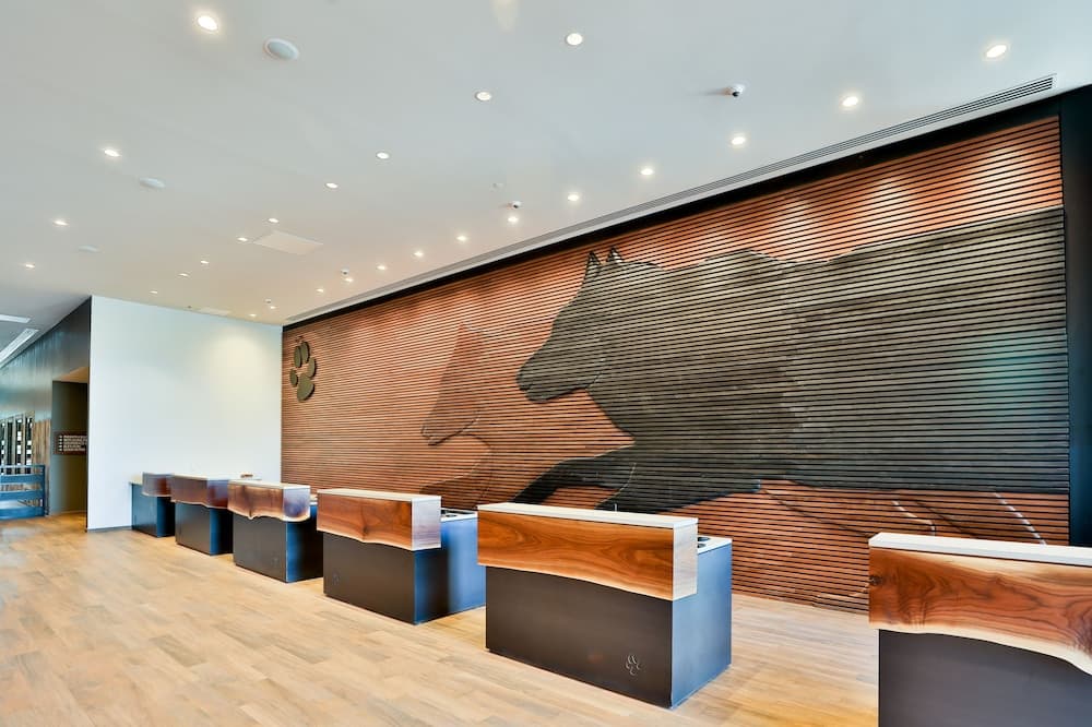 Great Wolf Lodge Atlanta / LaGrange, GA gallery photo in LaGrange, GA — image 23