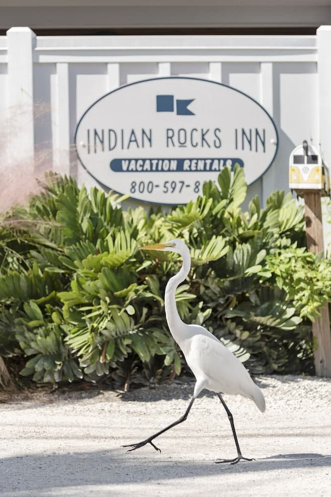 Gulfside Resorts & Indian Rocks Inn property views in Indian Rocks Beach, FL — gallery photo 3